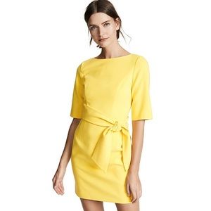 Alice + Olivia Virgil dress, excellent condition, with tags, never worn